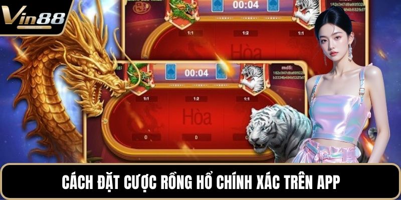 Cách đặt cược Rồng Hổ chính xác trên app