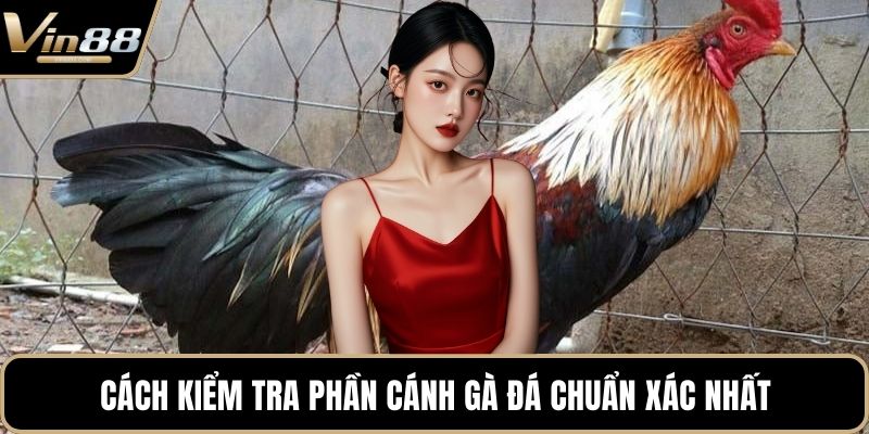 Cách kiểm tra phần cánh gà đá chuẩn xác nhất