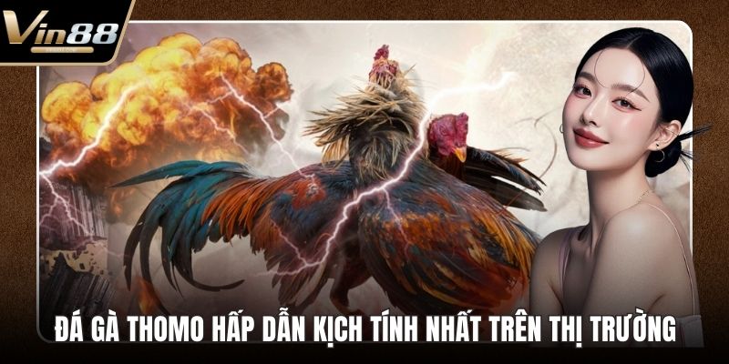 đá gà thomo