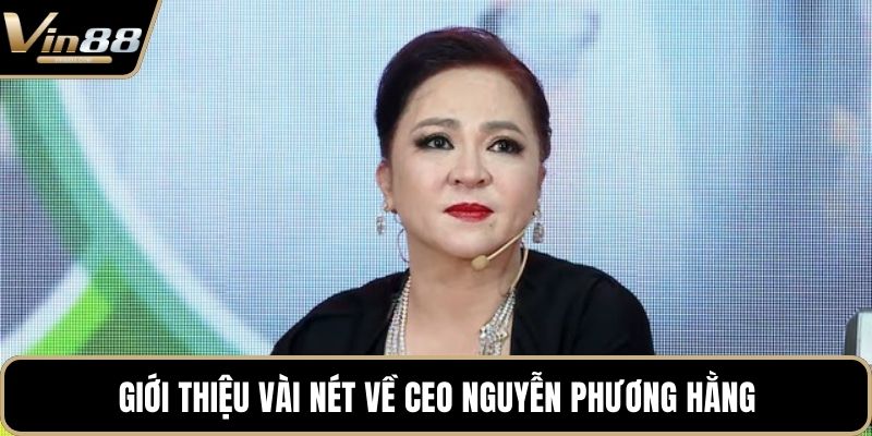 Giới thiệu vài nét về CEO Nguyễn Phương Hằng