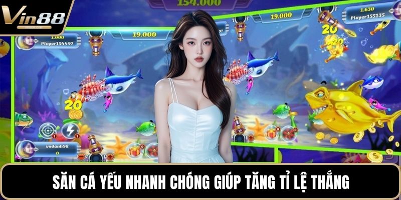 Săn cá yếu nhanh chóng giúp tăng tỉ lệ thắng