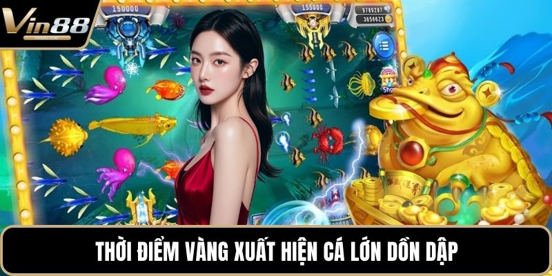 Thời điểm vàng xuất hiện cá lớn dồn dập
